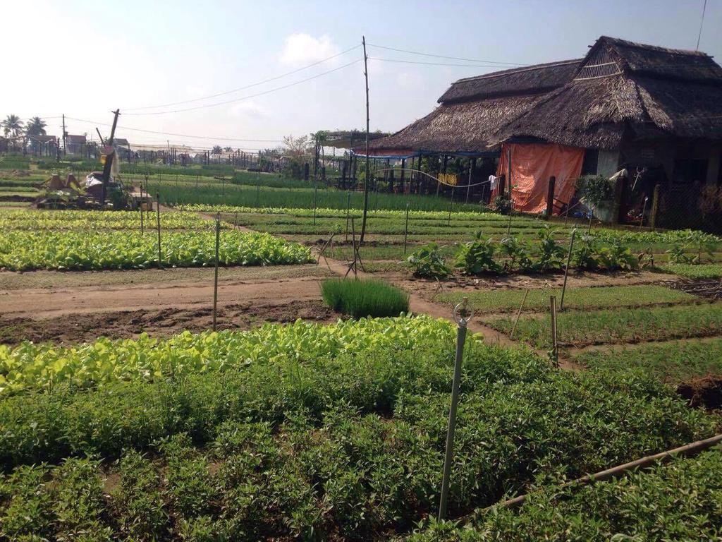 Green House Homestay Hoi An Exterior photo
