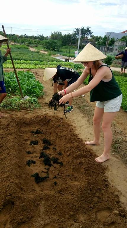 Green House Homestay Hoi An Exterior photo